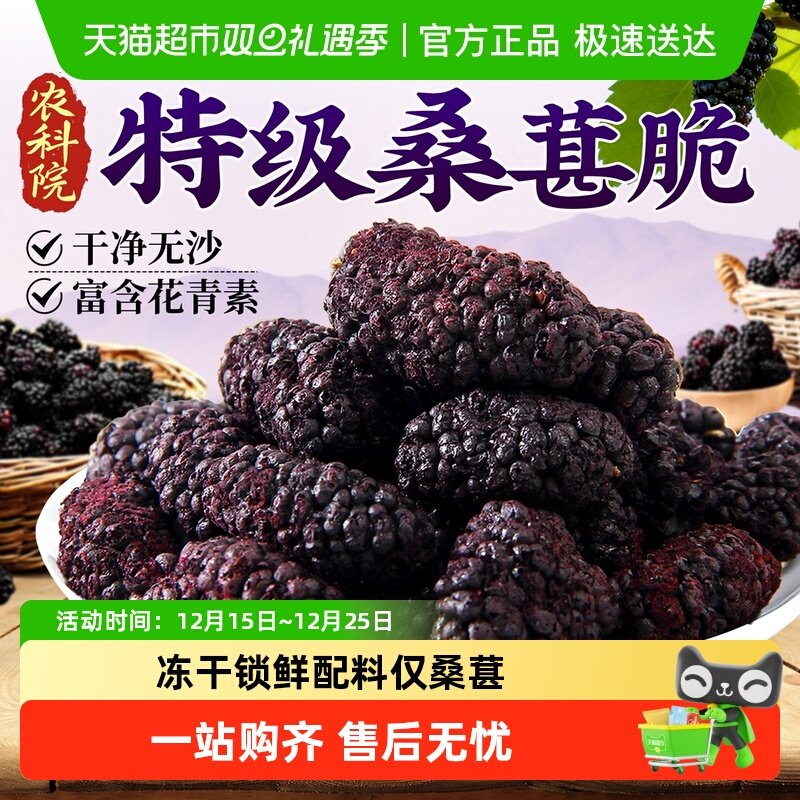 特级冻干桑葚椹脆黑正宗无糖添加免洗泡酒水果茶即零食官方店旗舰