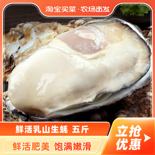 5斤新鲜牡蛎超大肉海蛎子带壳刺身即食海鲜水产 鲜活乳山生蚝3XL