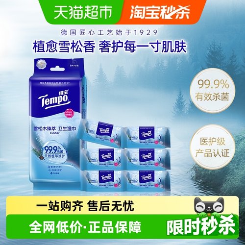 Tempo/得宝迷你便携湿巾湿巾