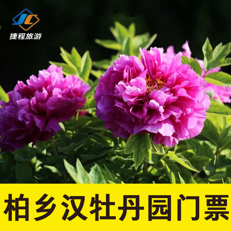 [汉牡丹园景区-大门票]邢台柏乡汉牡丹园门票