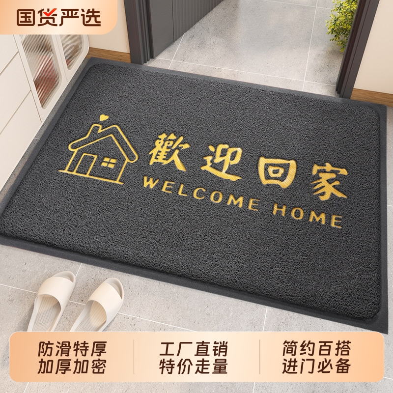 入户门地垫进门丝圈脚垫子垫家用室内玄关门口除尘耐磨防滑地毯