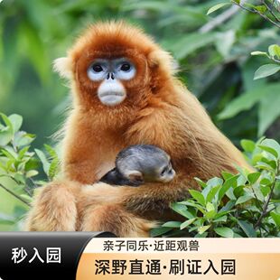 刷身份证入园 大门票 深圳野生动物园