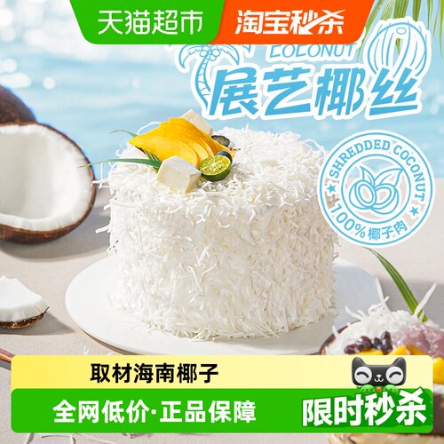 展艺椰丝面包蛋糕烘焙点缀原料