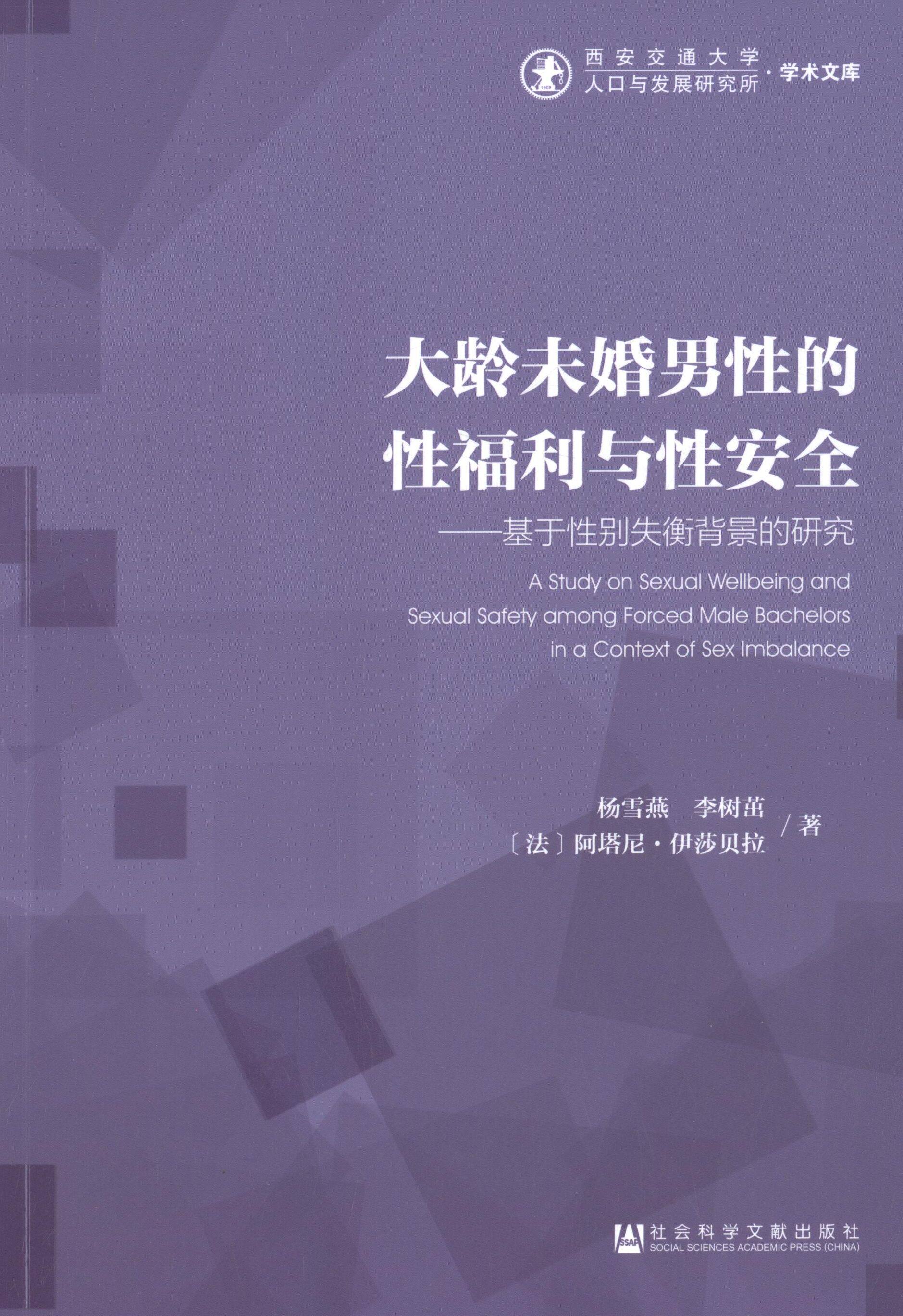 【正版书】 大龄未婚男性的性福利与性安全 杨雪燕　等著 社会科学文献出版社