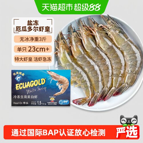 大黄鲜森厄瓜多尔大虾鲜活上岸
