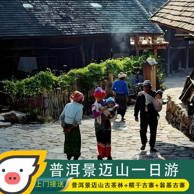 普洱景迈山古茶林一日游
