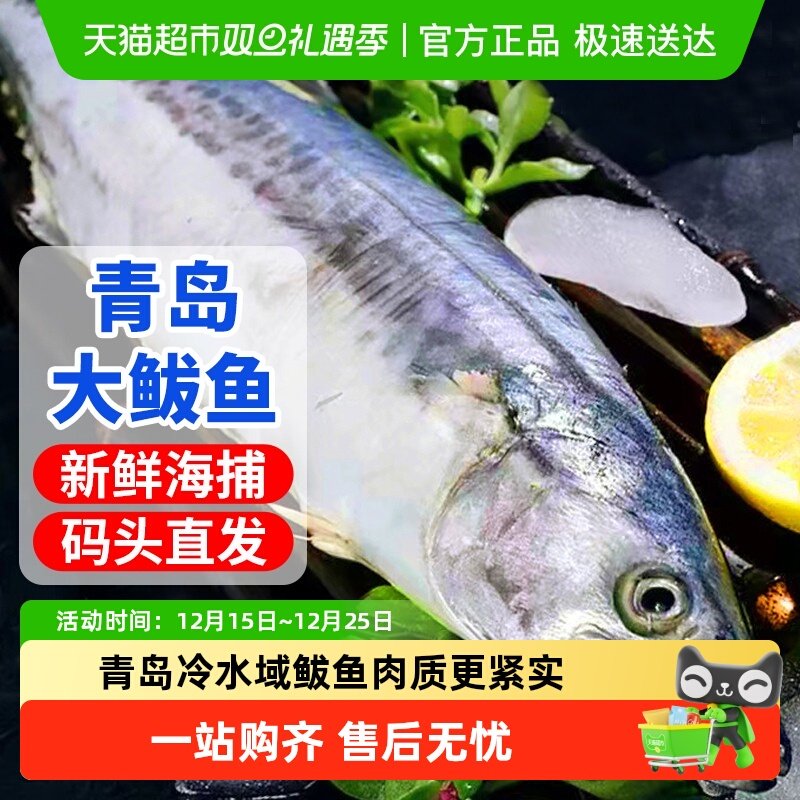 海仙部落鲅鱼新鲜 海捕鲐鲅鱼冷冻海鲜水产批发深海马鲛鱼青岛