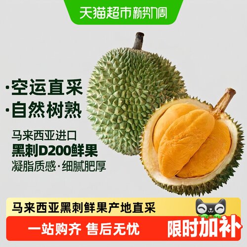 王上榴马来西亚黑刺榴莲细腻肥厚