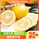 黄柠檬1斤起新鲜皮薄当应季时令水果皮薄酸爽多汁