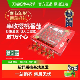 【一颗大】玲珑串收樱桃番茄新鲜采摘酸甜爆汁