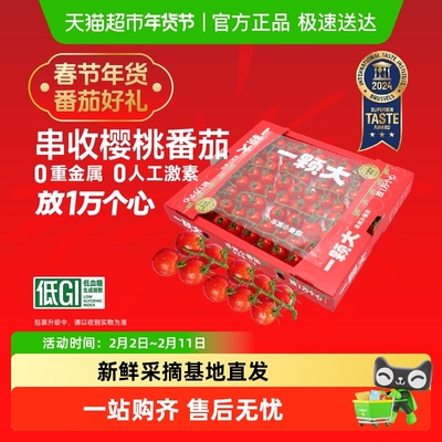 一颗大玲珑串樱桃番茄