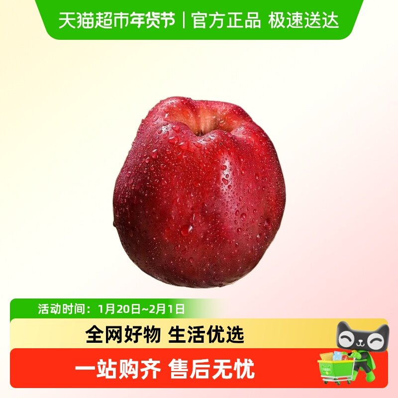 礼小甜甘肃花牛苹果新鲜水果脆粉香甜果香浓郁宝宝辅食粉面果,水产肉类/新鲜蔬果/熟食,苹果,淘宝优惠券,粉丝福利购,淘宝优惠卷