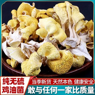 鸡油菌干货500g云南土特产非特级菌菇包山珍蘑菇煲汤材料黄丝菌