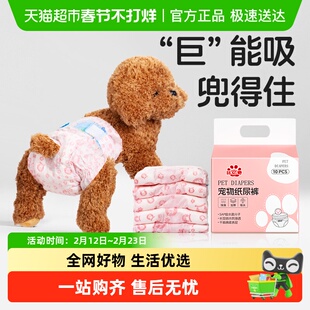 狗狗尿不湿母狗用纸尿裤泰迪宠物母狗生理裤小狗月经姨妈裤礼貌带