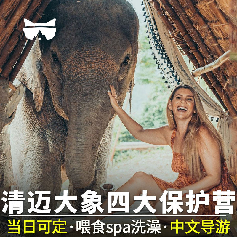 懒猫旅行 清迈公益大象营纳财兰纳保护营半日一日游粘粘瀑布泰国