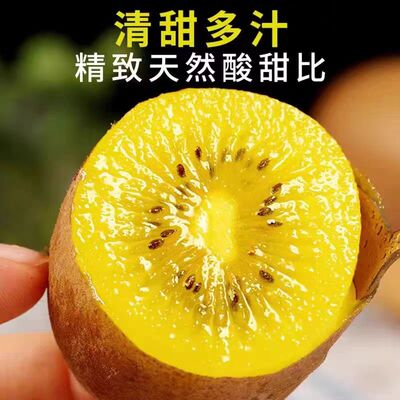 四川黄心猕猴桃奇异果新鲜当季水果整箱