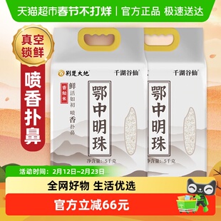 荆楚大地大米鄂中明珠5kg*2袋籼米长粒优质大米