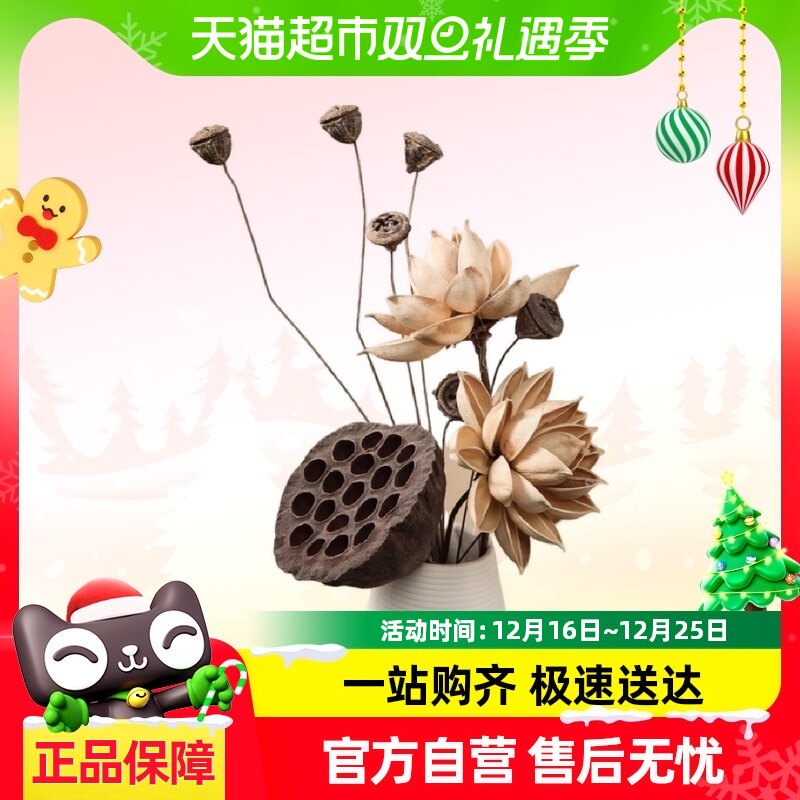 ��Ȼ�ɻ���ɻ�����֧�ڼ�ins������ɻ��Ҿ�װ��Ʒ������Ӱ����