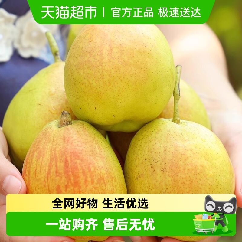 库尔勒香梨香梨