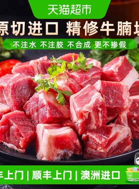 西捷巴西进口原切牛腩新鲜美味