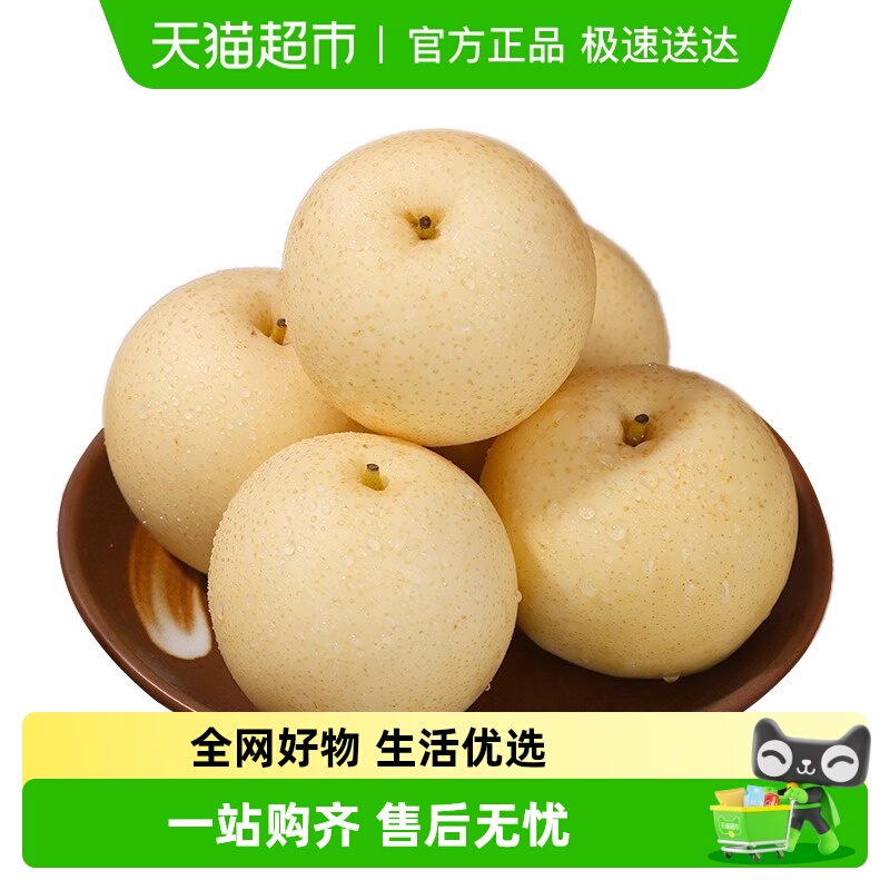 新鲜山西正宗御前3/5/8.5贡梨