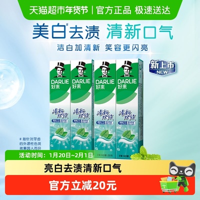 DARLIE好来清新口气牙膏