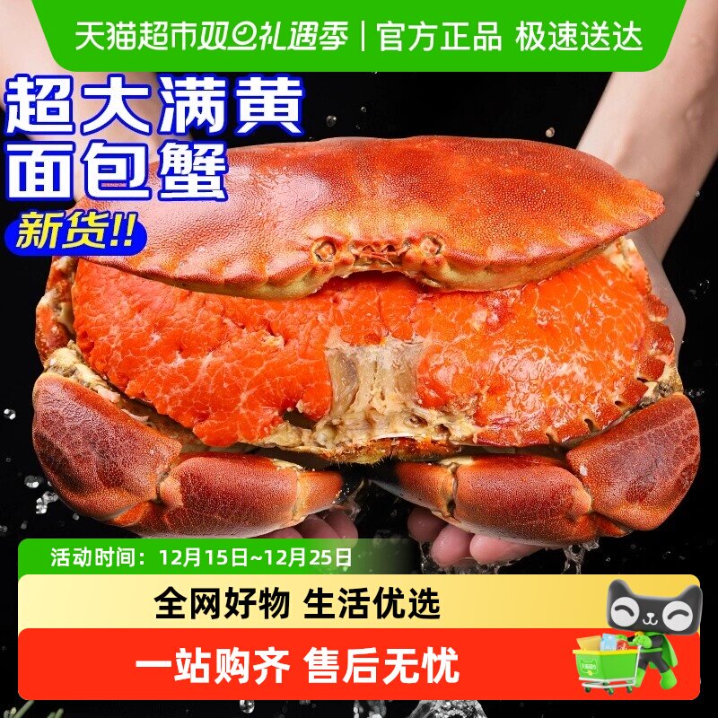 面包蟹特大母帝王蟹熟冻大螃蟹海蟹新鲜海鲜水产黄金蟹珍宝蟹