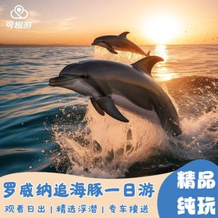 巴厘岛罗威纳追海豚一日游乘船看日出可选浮潜/ATV/漂流体验