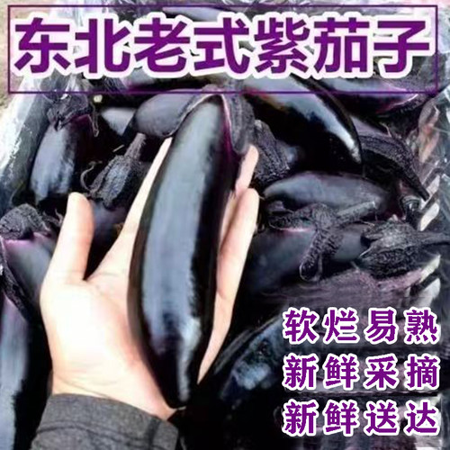 产地直发东北紫把茄子红烧茄子蒜茄子新鲜紫茄子整箱发