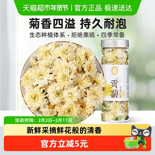 宁安堡贡菊金丝皇菊黄菊花菊花茶枸杞子花茶干花养生茶