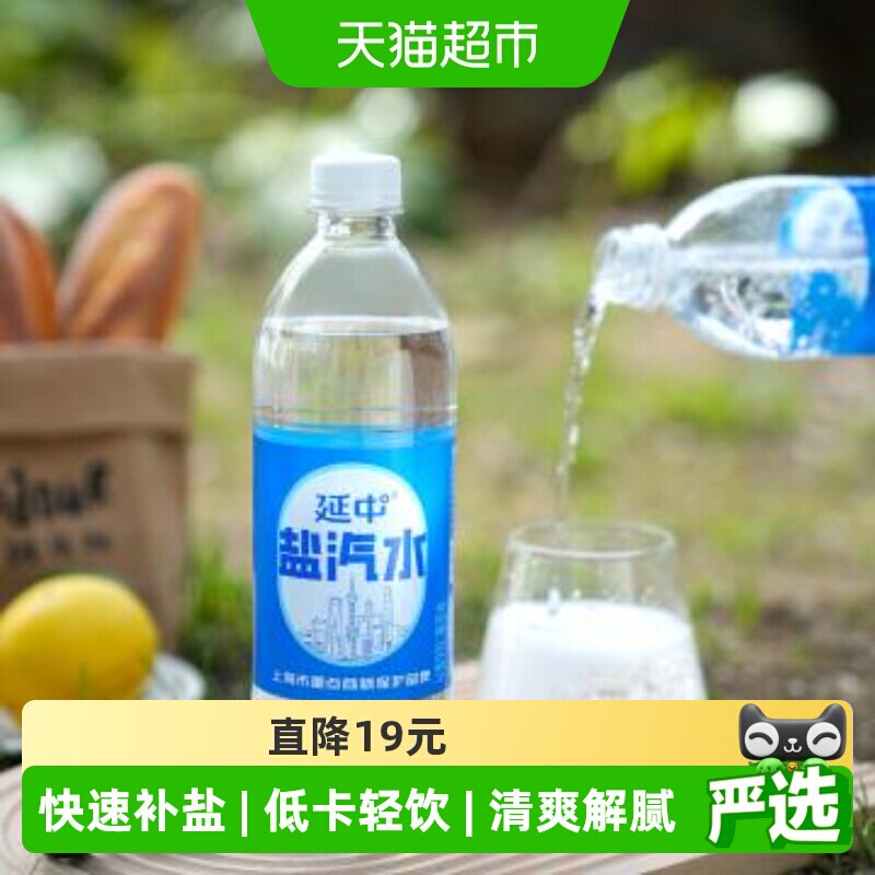 延中老字号盐汽水祛暑600ml*20瓶