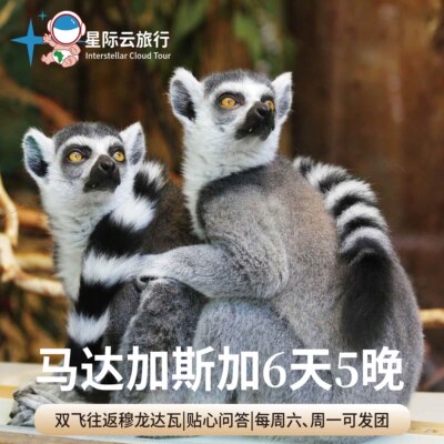 马达加斯加6天私家团