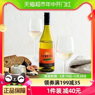 干白葡萄酒干露干露旭日