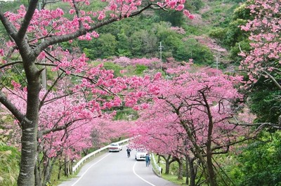 【含机票4人精致小团】日本旅游 印象日本冲绳4天小团游