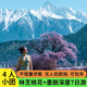 4人小团西藏旅游林芝南迦巴瓦峰墨脱波密桃花沟7天6晚拼车跟团游