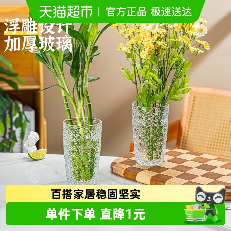 ins风浮雕玻璃小花瓶水培绿植