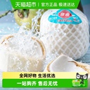 佳农泰国进口椰青9个装 原箱礼盒单果900g以上新鲜水果