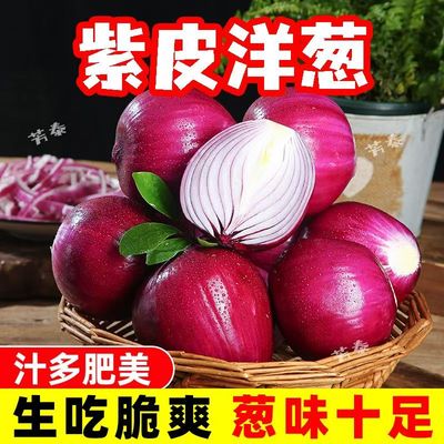 超值5斤云南紫皮中小洋葱新鲜甜味生吃蔬菜不辣红皮大圆葱头