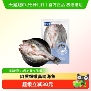 福宁港宁德霞浦开背海鲈鱼三去处理去麟去腮去内脏新鲜冷冻鲜活海