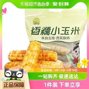 西双版纳花糯玉米1kg×1箱包邮