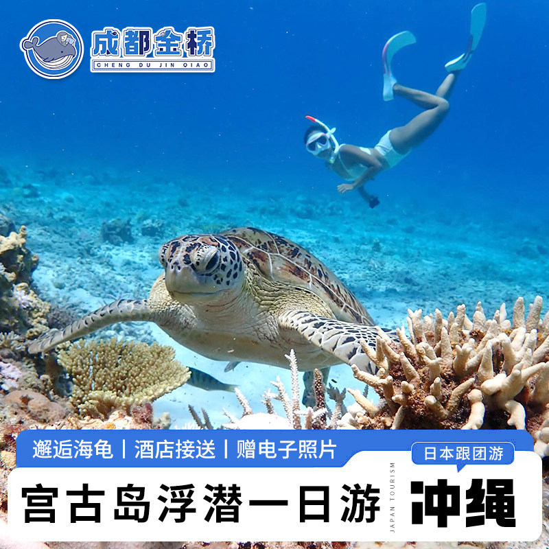 日本旅游冲绳宫古岛海龟浮潜半日体验专业教练装备齐全含酒店接送