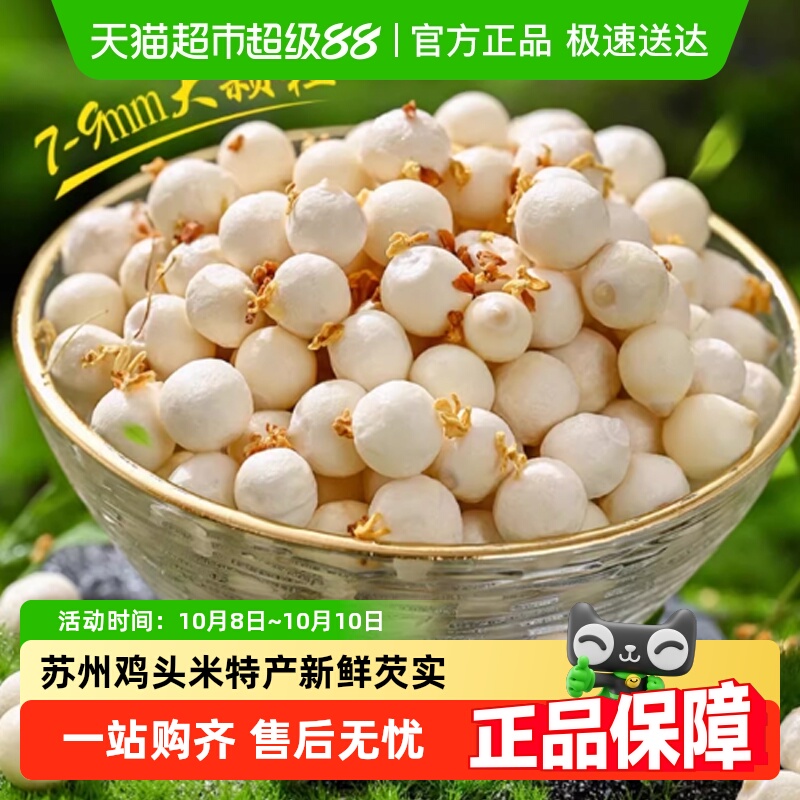 苏州鸡头米大颗粒特产新鲜当季芡实非干货农家自产去皮特级新鲜