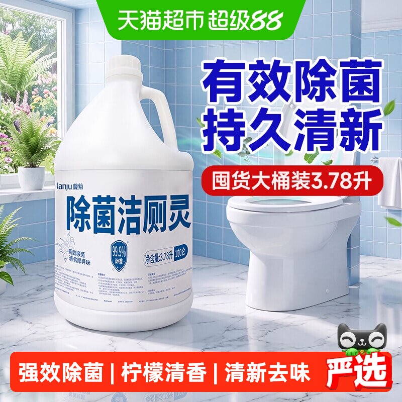 精亮洁厕灵柠檬清香挂壁持久图片