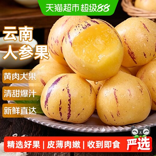 京运达云南石林人参果