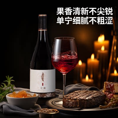 贺兰山东麓葡萄酒贺羽巍兰赤霞珠干红葡萄酒国产红酒750ml一箱6瓶