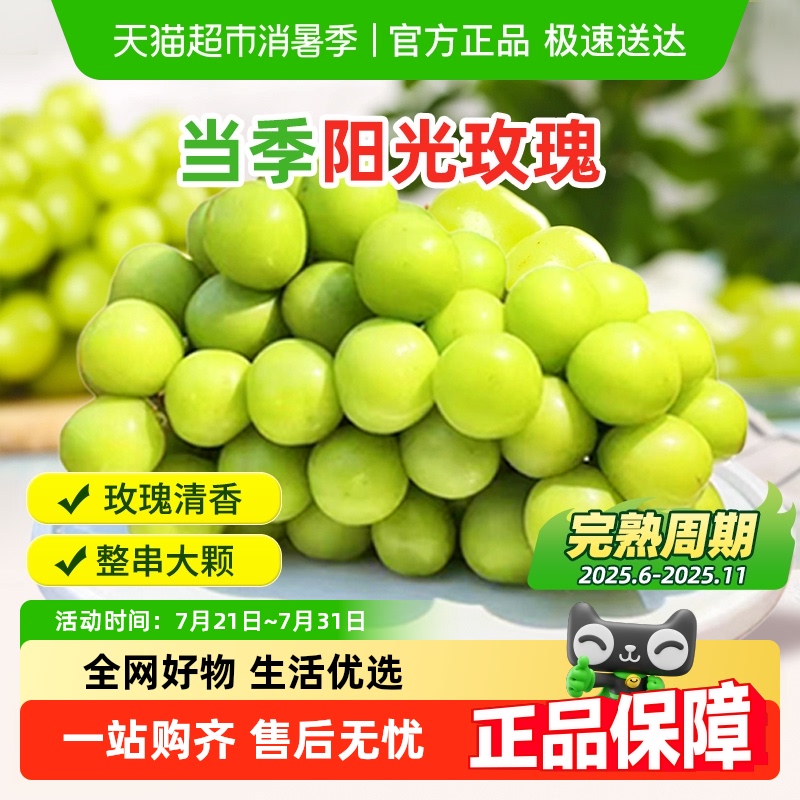 阳光玫瑰当季新鲜水果
