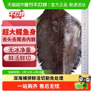 鲽鱼新鲜冷冻碟鱼身海鱼大比目鱼中段去头鸦片鱼