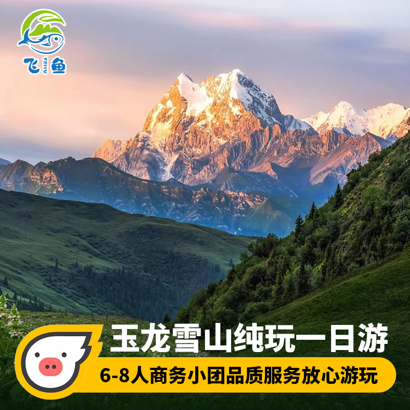 丽江玉龙雪山一日游 日照金山大索道小索道蓝月谷6-8人跟团游纯玩