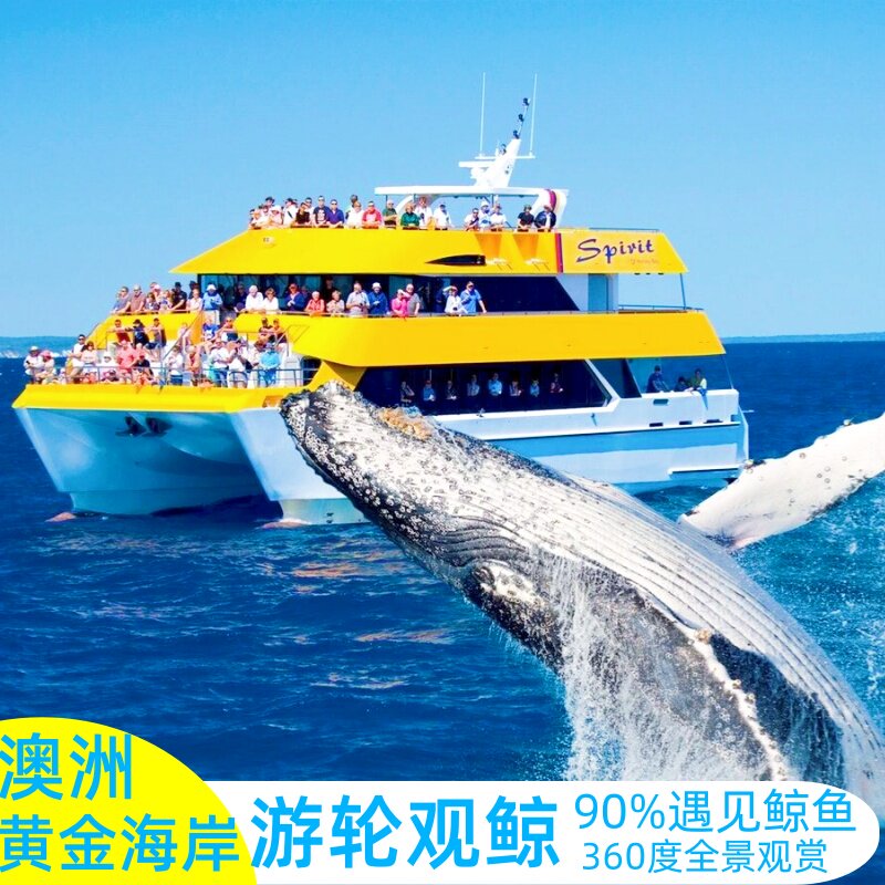 澳洲旅游澳大利亚黄金海岸观鲸海洋世界kokomo科科莫可加热气球