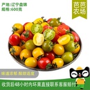 包邮 芭芭农场 三色混装 小番茄600g顺丰